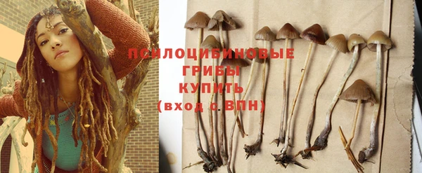 мескалин Касимов