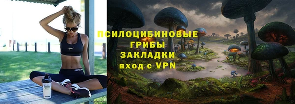 тгк Карпинск