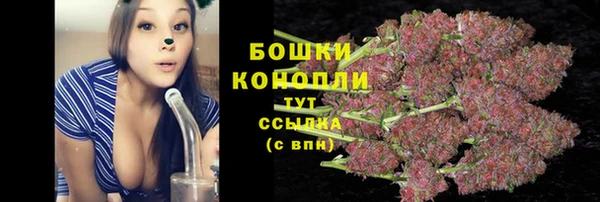тгк Карпинск