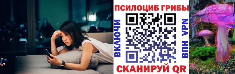 Галлюциногенные грибы Psilocybine cubensis  Купить закладки  Инта 